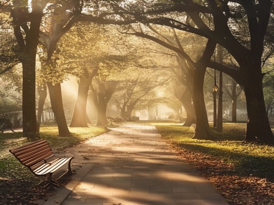 Peaceful path through a calm urban park with soft morning light